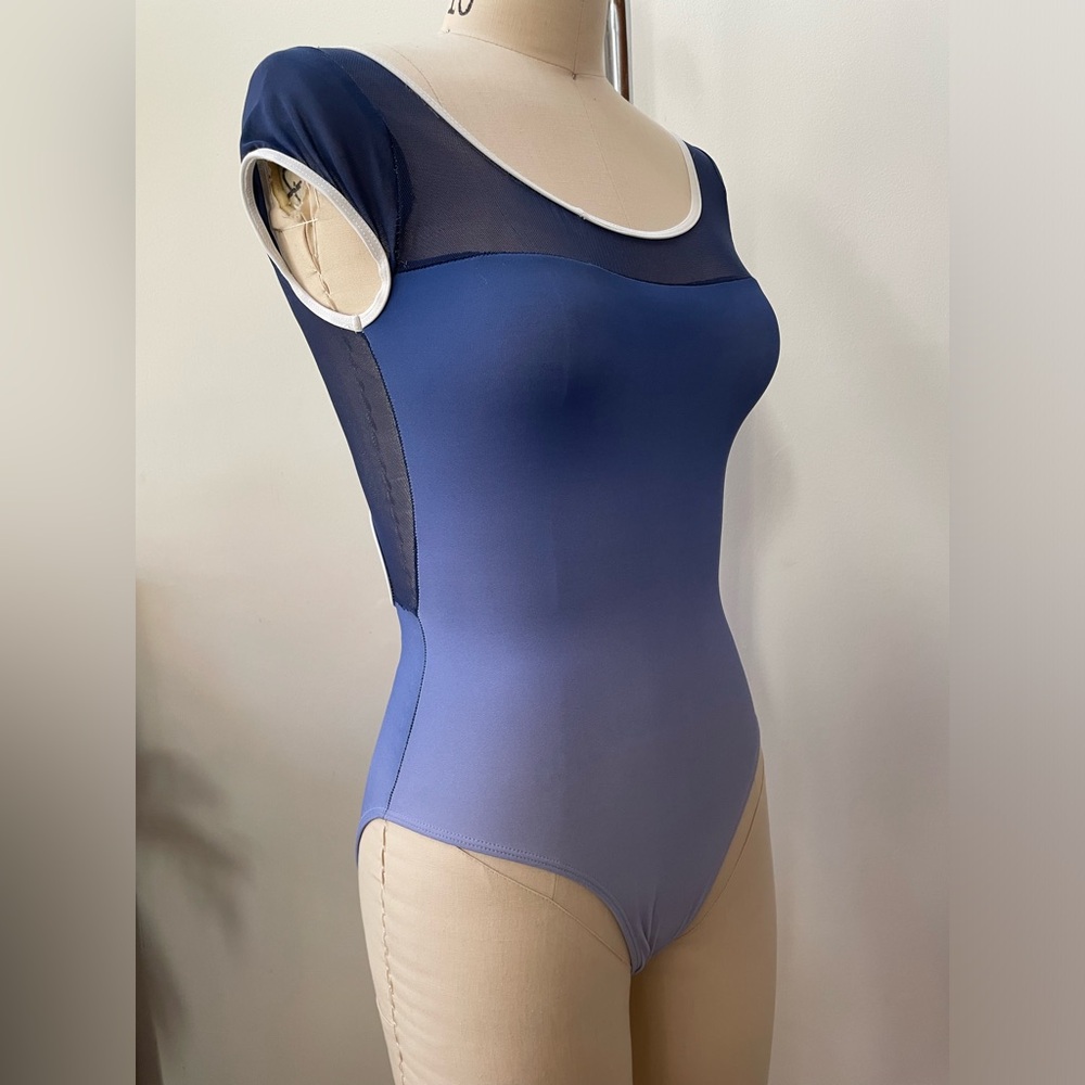 Blue Ombré Leotard Size Small - Picture 4 of 5